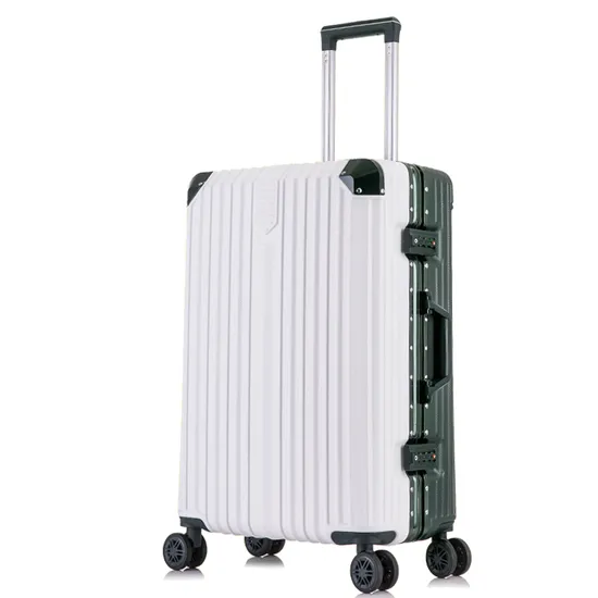 Aluminum Frame Trolley Luggage High-End Luxury Suitcase Spinner Double Wheels Travel Bag